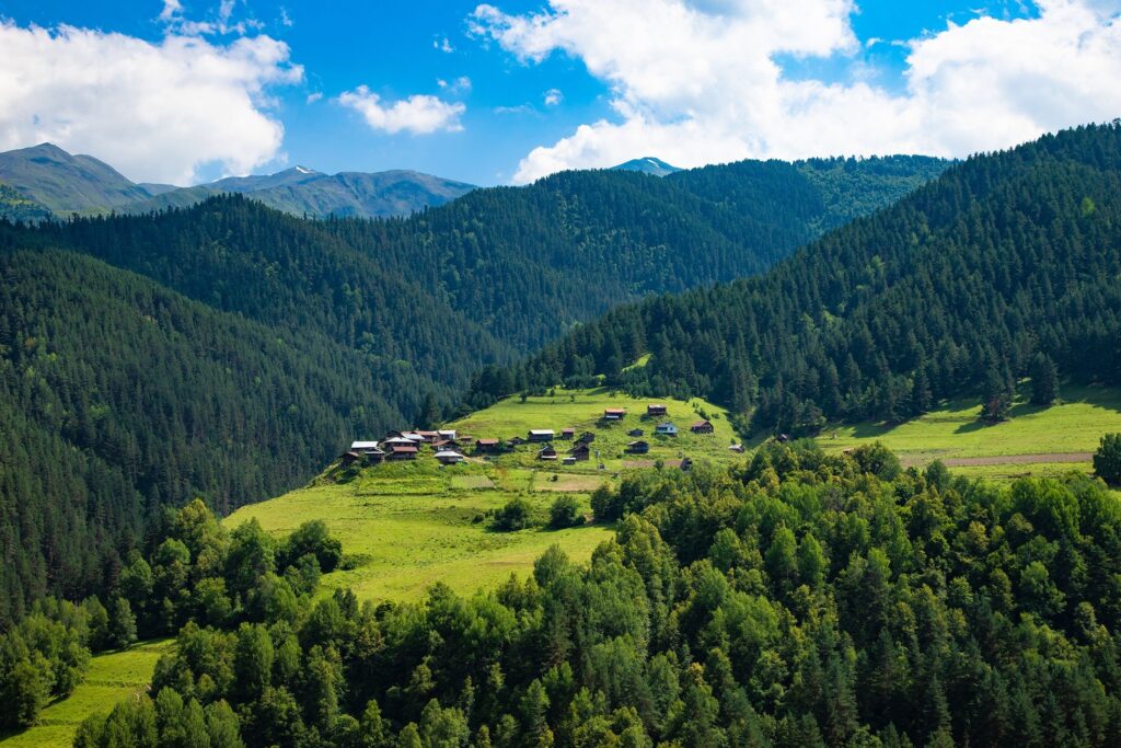 Tusheti