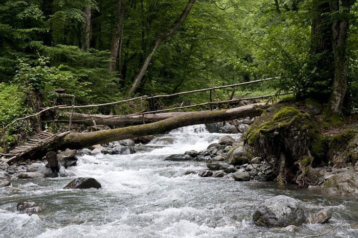 Lagodekhi