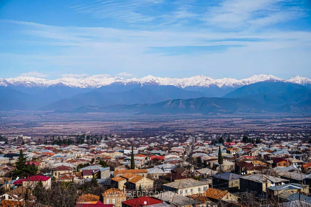 telavi